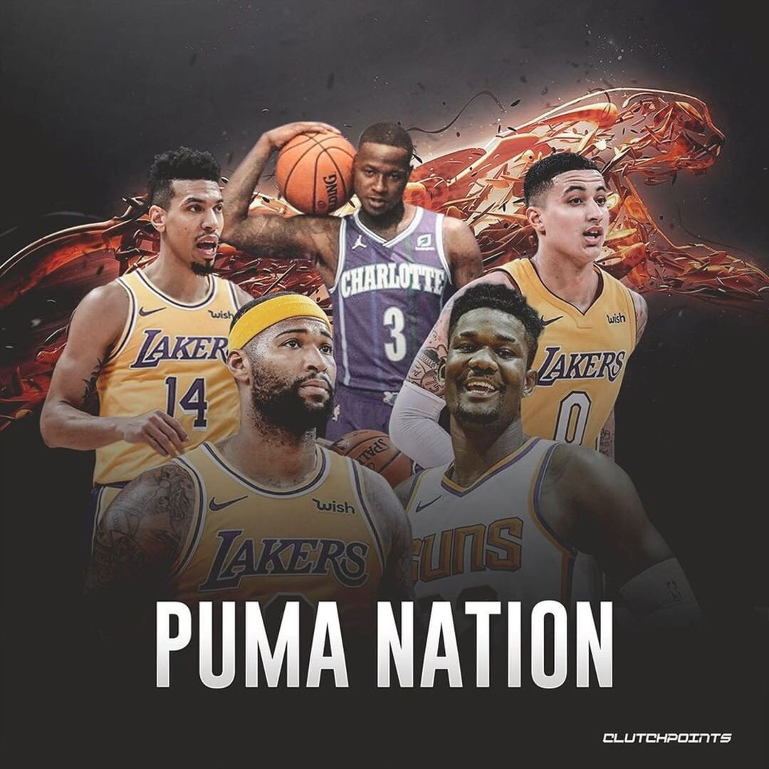 精髓的经典 精髓的经典